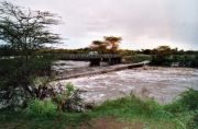  Masai Mara